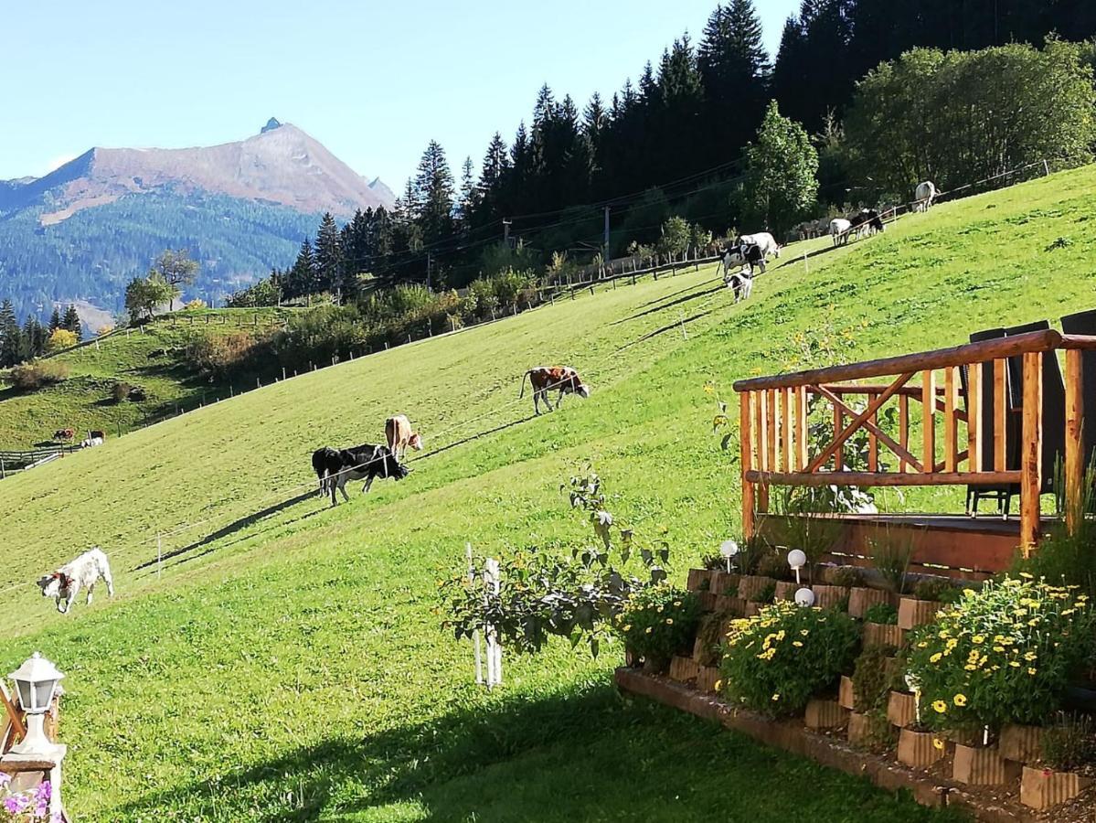 Urlaub Am Krausberghof, Apartment Mit Balkon Und Parkplatz, Inmitten Der Natur, Sauna Und Infrarotkabine, Kostenfreie Kaffeekapseln, 6 Fahrminuten Zur Alpentherme Gastein Und Zur Schlossalmbahn, Spielplatz Bad Hofgastein Dış mekan fotoğraf