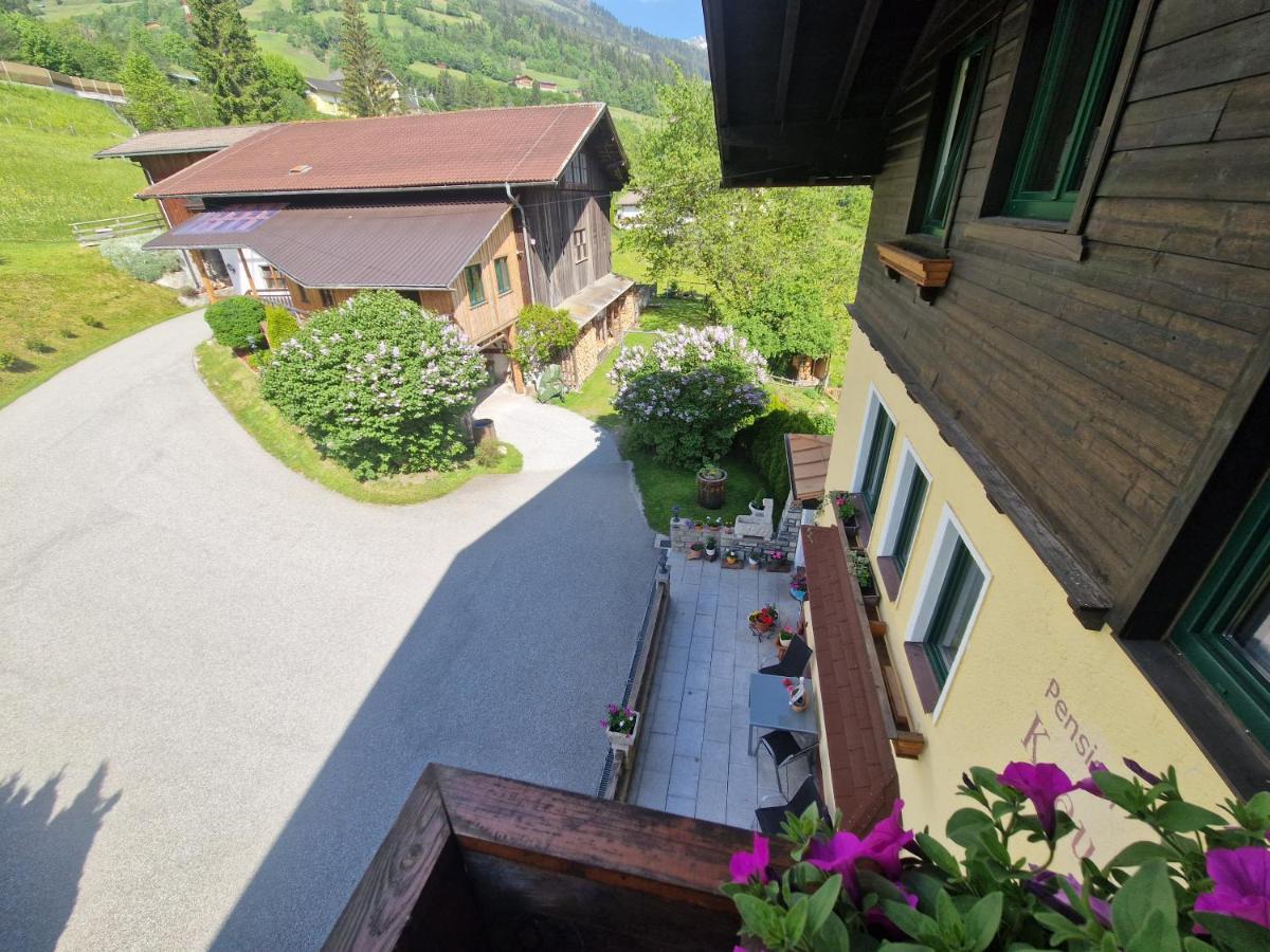 Urlaub Am Krausberghof, Apartment Mit Balkon Und Parkplatz, Inmitten Der Natur, Sauna Und Infrarotkabine, Kostenfreie Kaffeekapseln, 6 Fahrminuten Zur Alpentherme Gastein Und Zur Schlossalmbahn, Spielplatz Bad Hofgastein Dış mekan fotoğraf