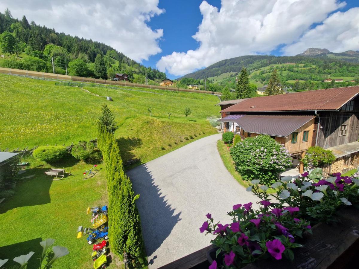 Urlaub Am Krausberghof, Apartment Mit Balkon Und Parkplatz, Inmitten Der Natur, Sauna Und Infrarotkabine, Kostenfreie Kaffeekapseln, 6 Fahrminuten Zur Alpentherme Gastein Und Zur Schlossalmbahn, Spielplatz Bad Hofgastein Dış mekan fotoğraf