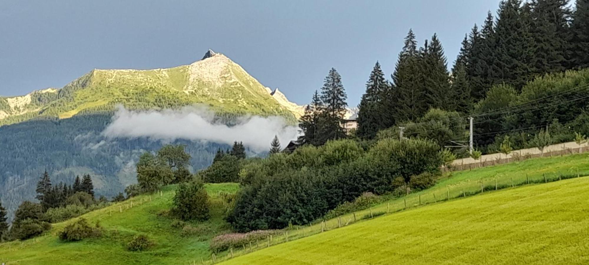 Urlaub Am Krausberghof, Apartment Mit Balkon Und Parkplatz, Inmitten Der Natur, Sauna Und Infrarotkabine, Kostenfreie Kaffeekapseln, 6 Fahrminuten Zur Alpentherme Gastein Und Zur Schlossalmbahn, Spielplatz Bad Hofgastein Dış mekan fotoğraf