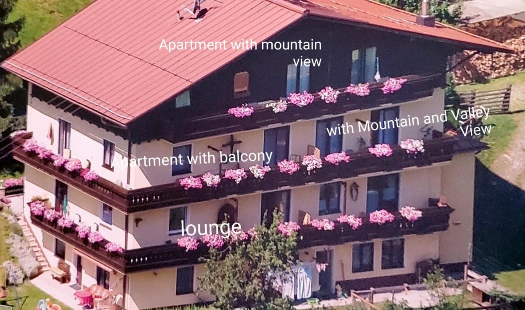 Urlaub Am Krausberghof, Apartment Mit Balkon Und Parkplatz, Inmitten Der Natur, Sauna Und Infrarotkabine, Kostenfreie Kaffeekapseln, 6 Fahrminuten Zur Alpentherme Gastein Und Zur Schlossalmbahn, Spielplatz Bad Hofgastein Dış mekan fotoğraf