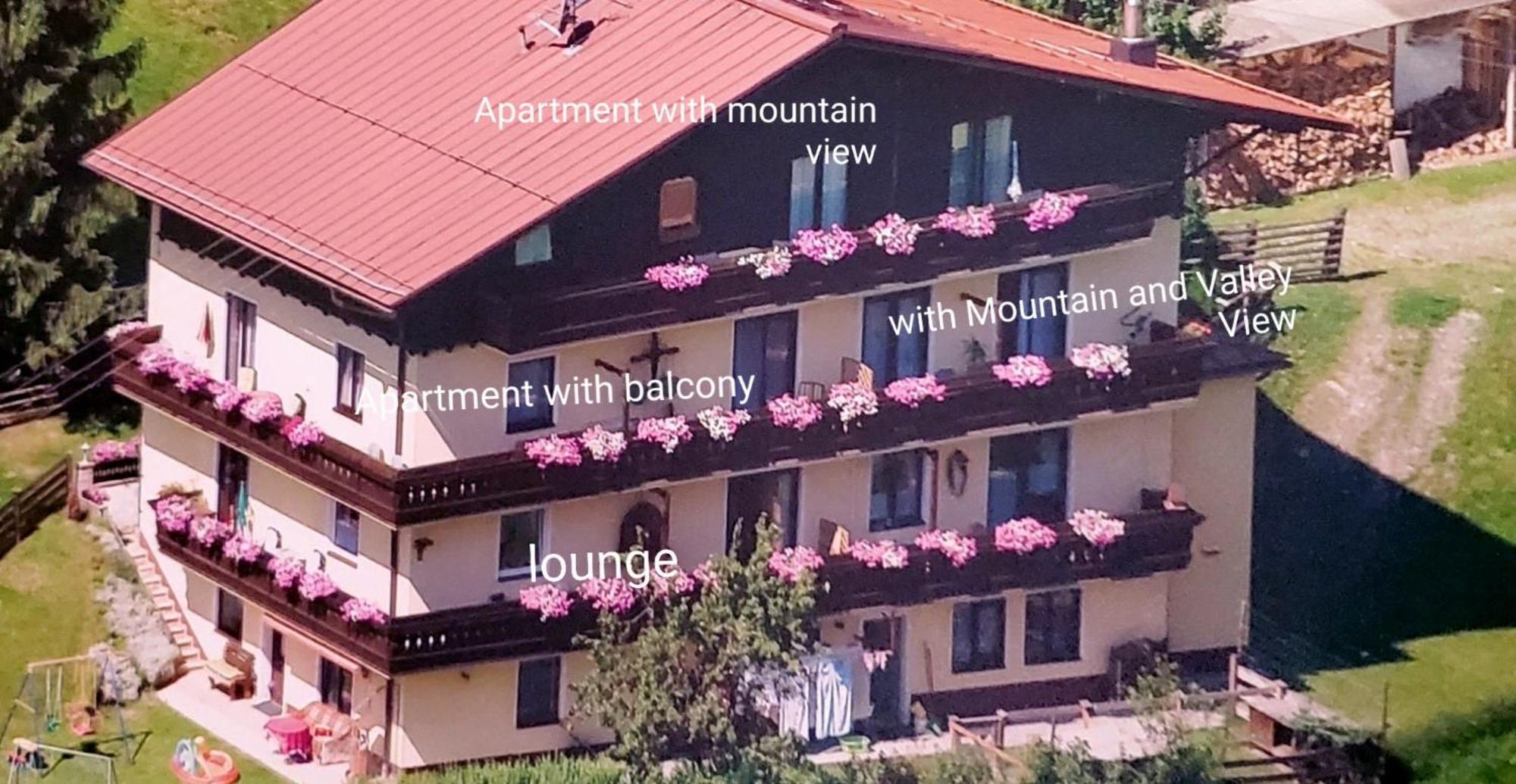 Urlaub Am Krausberghof, Apartment Mit Balkon Und Parkplatz, Inmitten Der Natur, Sauna Und Infrarotkabine, Kostenfreie Kaffeekapseln, 6 Fahrminuten Zur Alpentherme Gastein Und Zur Schlossalmbahn, Spielplatz Bad Hofgastein Dış mekan fotoğraf